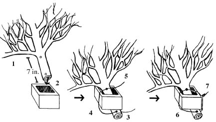 Building Pond Structures