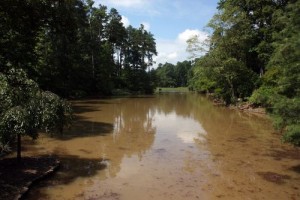 Muddy Water in Ponds