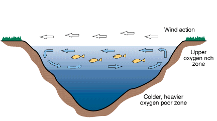 This illustration shows how a body of water will stratify (layer).