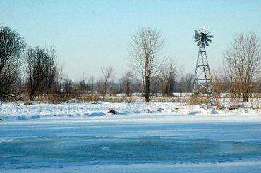Toledo Blade: Ponds draped in heavy snow create potential for fish kills