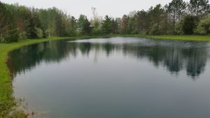 Fin Farm Pond Treatment