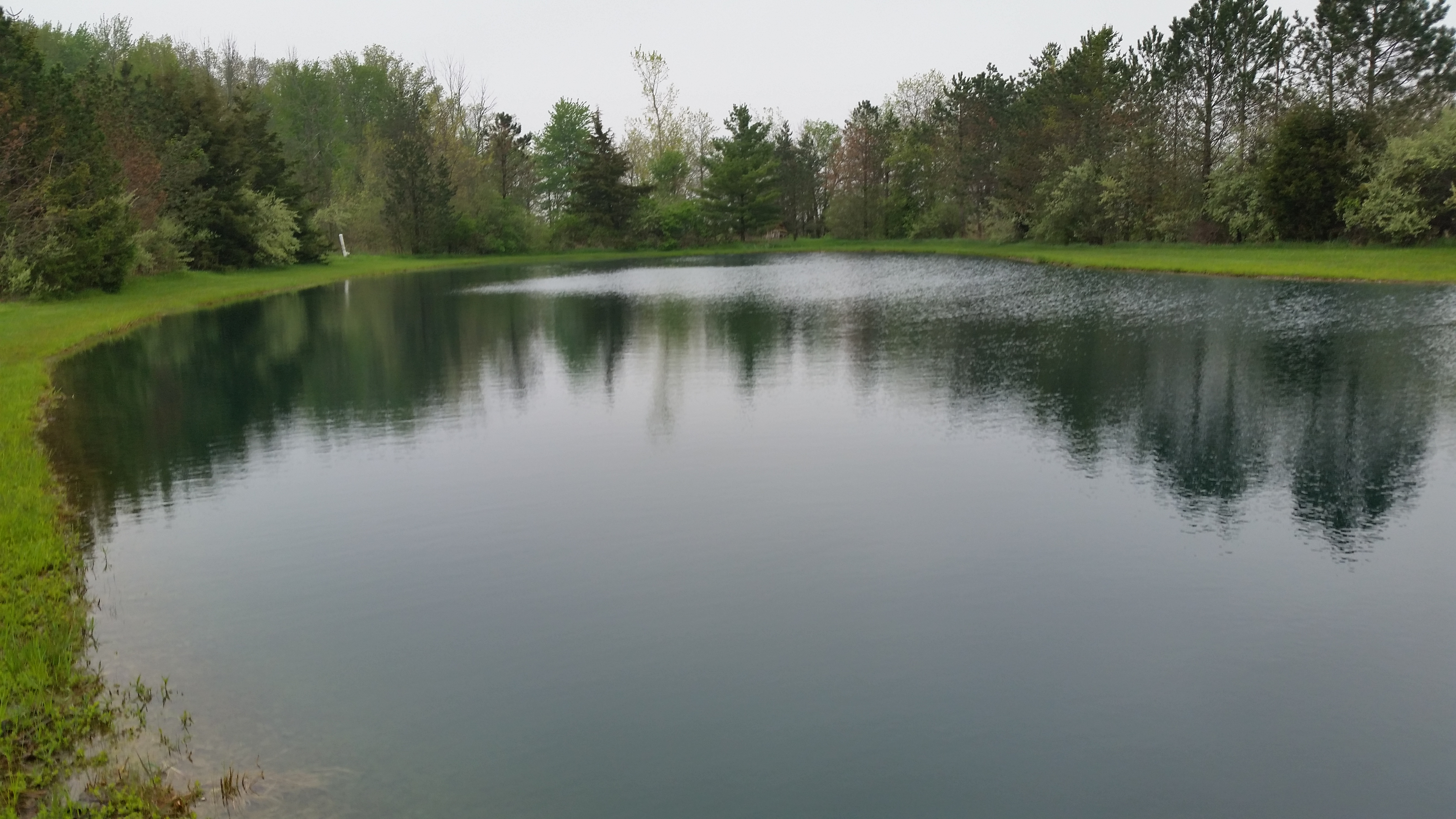 Fin Farm Pond Treatment | Fin Farm LLC
