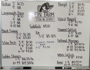 Fish In Stock – Updated 4/6/23